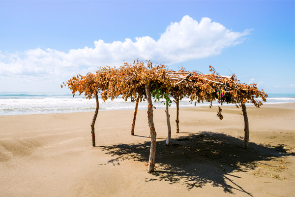 Beach at Goa Beach at Goa