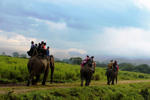 Kaziranga National Park Kaziranga National Park
